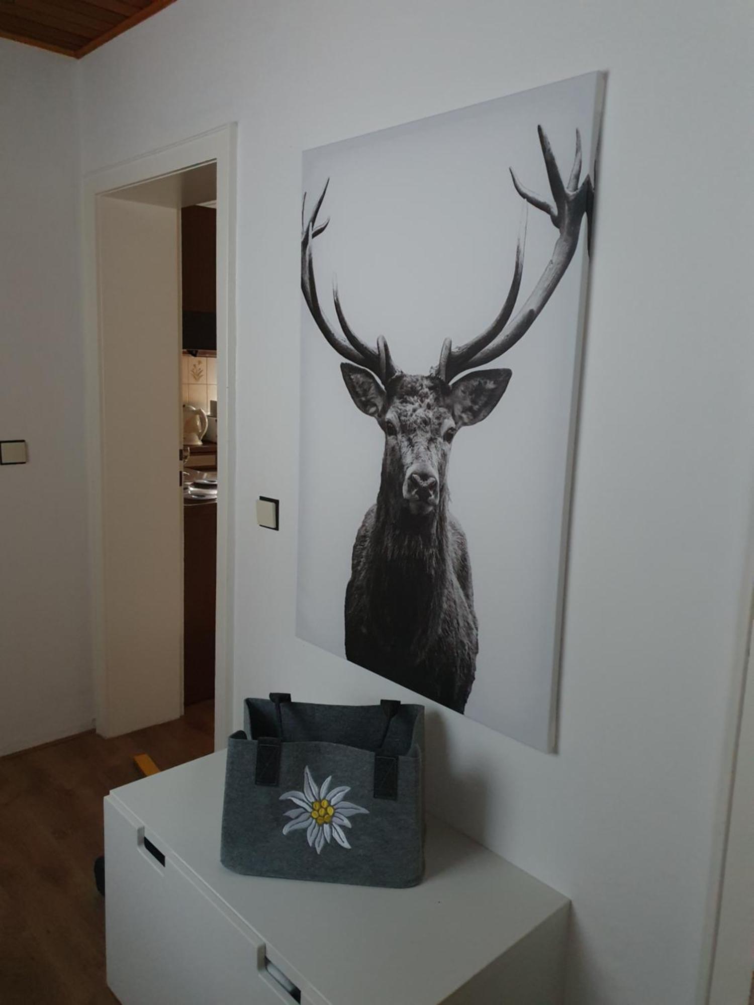 Apartment Ferienwohnung-harzidyllisch *