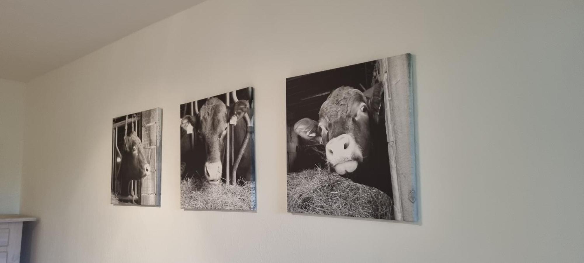 Ferienwohnung-harzidyllisch Apartment *