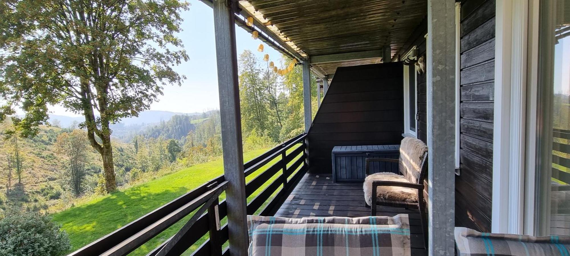 Ferienwohnung-harzidyllisch *